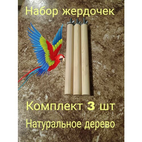 ���� Ƹ������ ��� ����., ������ ������