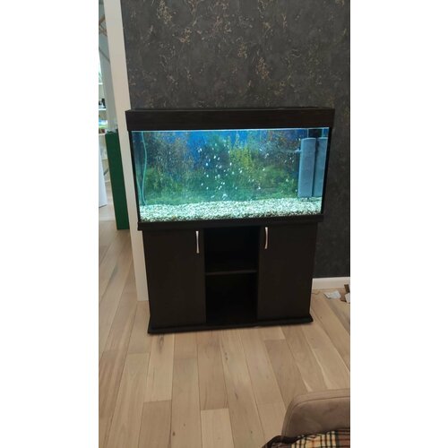   190  AquariumBest     1013263 ()   -     , -  