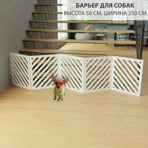 ���� ������� ������ ��������� ��� �����. ���������� ��� �����. ������ 58 ��, ������ 250 ��. ���� �����., ������ ������