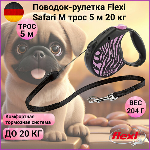  - Flexi Safari  M 5  20   Zebra   -     , -  