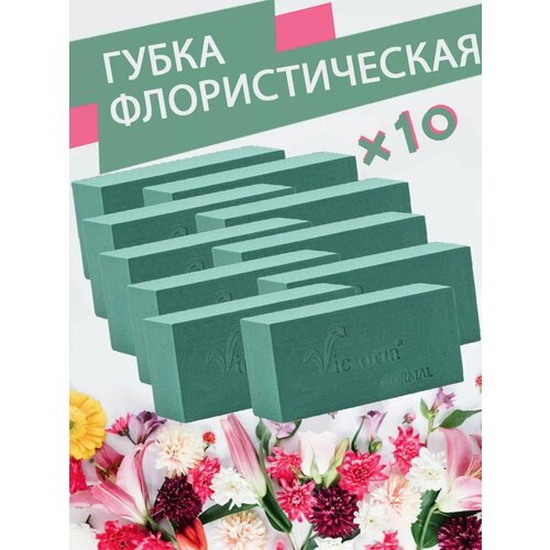 ���� ����� �������������� (������, ����), 23 � 11 � 7,5 ��, 10 ����, ������ ������