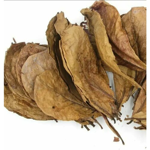 ���� ���� ���������� ������� 15 ��, ������ ������