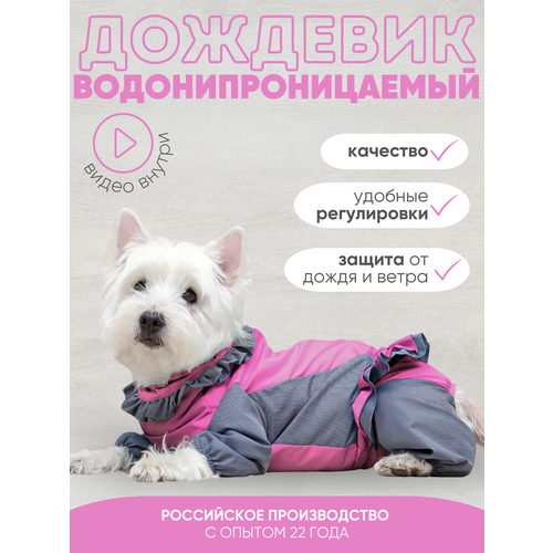 ���� �������� - ���������� La Pulya � ����� ��� �������, ������ ������