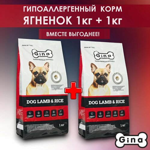         Gina Dog Lamb & Rice , , 1  + 1    -     , -  