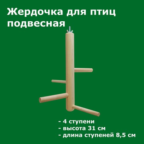 ���� ������� �������� ��� ���� � �������� 31 �� ���������, ������ ������