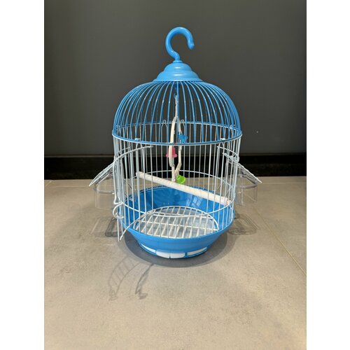 ���� ������ ��� ����, 23�23�38 ��, ��������� ������, ��������, ������-��������, ��������, ������, �����, ������ ������