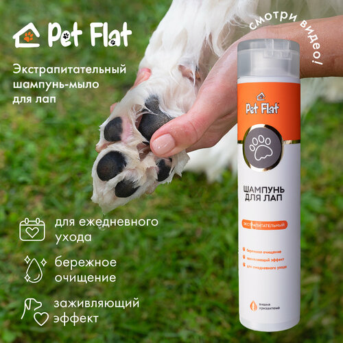   -     PET FLAT   -     , -  