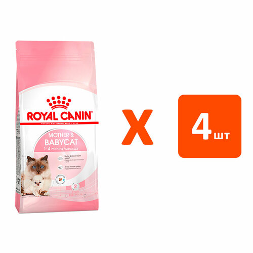  ROYAL CANIN MOTHER & BABYCAT 34    4 ,     2   4    -     , -  