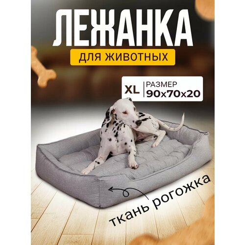 ���� ������� ��� ����� � ����� ������� � ��������� � ��������, ������ ������