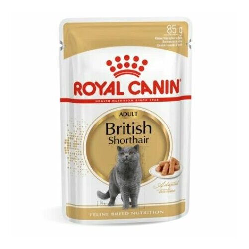      Royal Canin British Shorthair Adult, 12  x 85 .   -     , -  