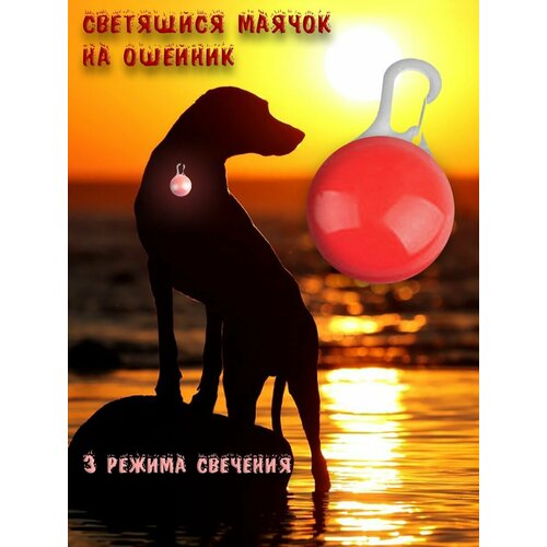 ���� ������ �� �������, ���������� �������, ������ ������