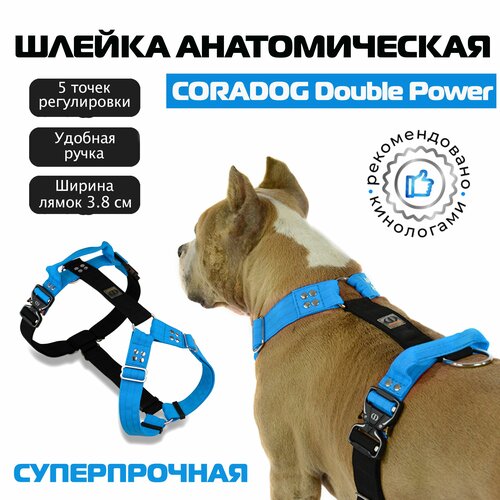        ,  , , CORADOG Double Power     ,  M, ,    -     , -  