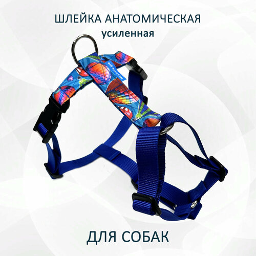 ���� ������ ������������� ����������� ��� ����� totemica 