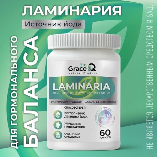      GraceBioQ  , , .  . 60 .   -     , -  