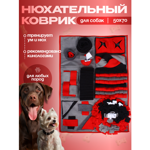 ���� ������ ����������� ��� ����� � �����, ������ ������