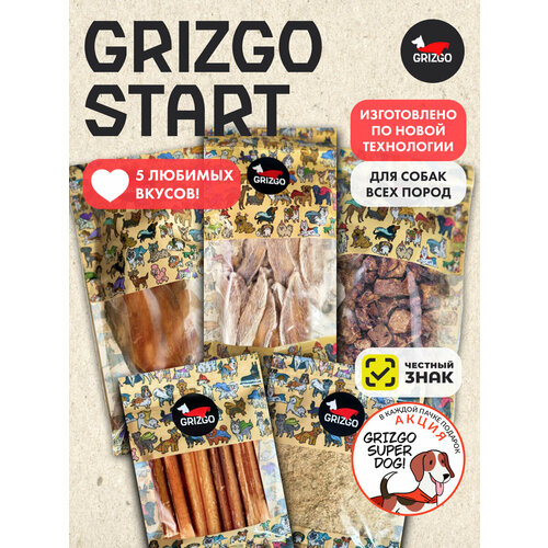  GRIZGO START/5        -     , -  