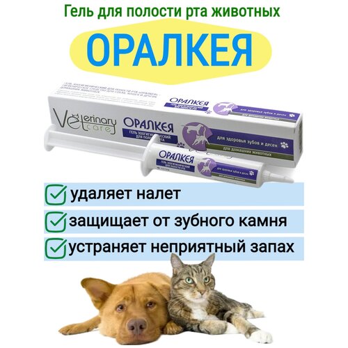 ���� ���� ������� ��� ����� � ������� �����, ����� ��� ����� � �����. �������� �� ������� ������ � ������� ����� ��� ��������, ������ ������