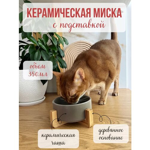 ���� ����� ��� �������� Qalla �� ���������� ���������, ������ ������