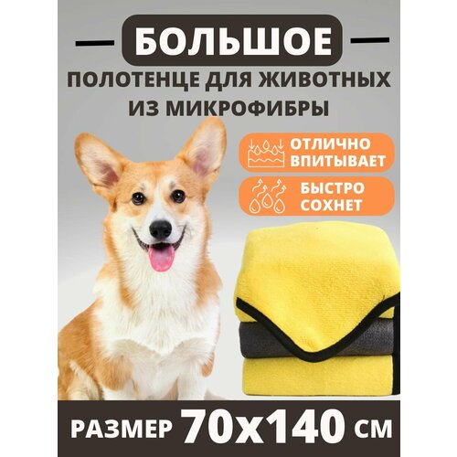 ���� ��������� ��� ����� � ����� �� ����������, ������ ������