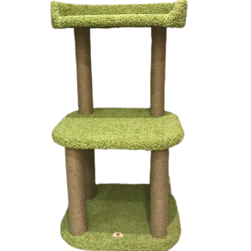 ���� ������� �������� ���������� ��� ���� 