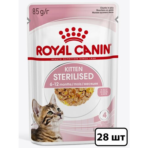  Royal Canin     ,    (28  ) 85    -     , -  