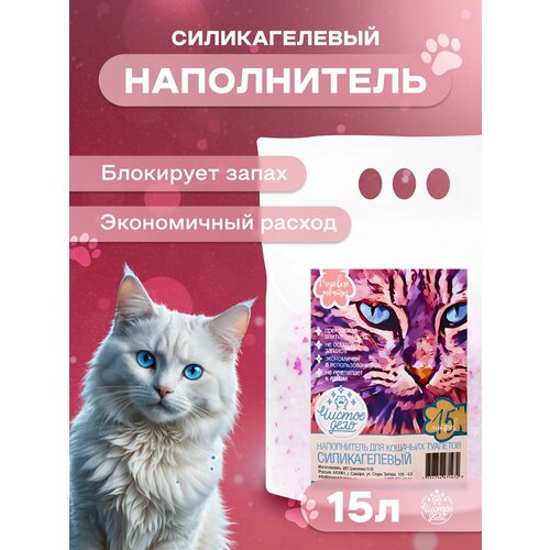 ���� ����������� ��� ��������� ������� ������ ����, �������������, 15� (������� �������), ������ ������