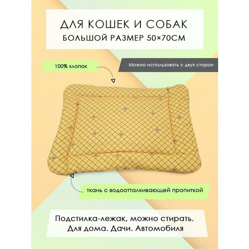 ���� ���������-����� ��� �����/����� 