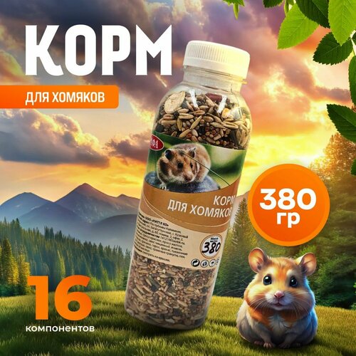 ���� ���� ��� ������� ���� ����� ����������� ���� 380 ��, ������ ������