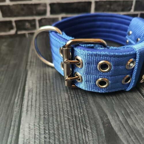 ���� ������� ������� DOGTON ��� ����� ������� � ������� �����. ��������� ������. ��� �������� � �����������. ������ 5 ��. ����� � ����� ��������� ������ 53-65 ��., ������ ������