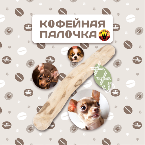 ���� �������� ������� ���� �����, ��� ����� XXS, ��� ������ � ���������� �����, ������ ������