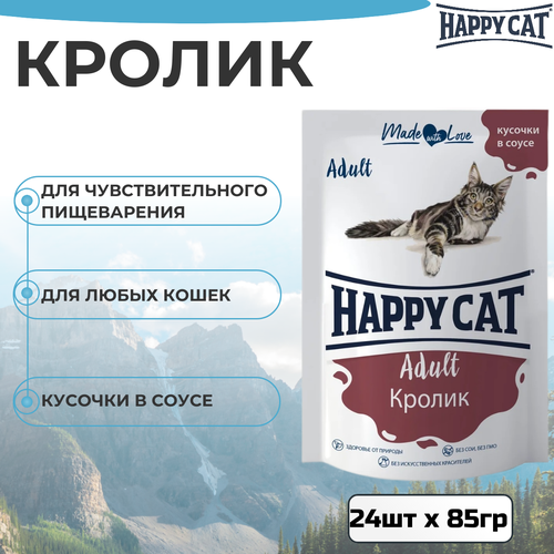    Happy Cat        24  85    -     , -  