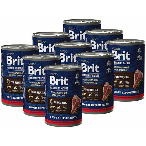       Brit Premium by Nature?, , 410 *9    -     , -  