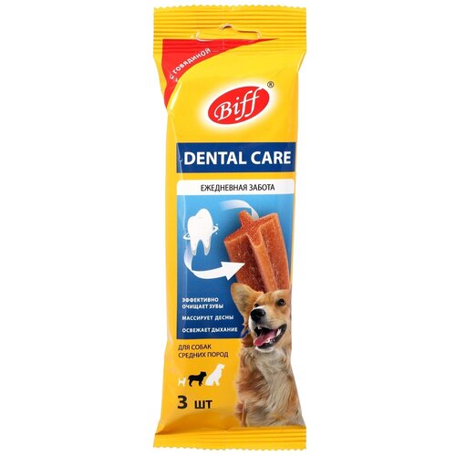   (Biff) 14  77 .  Dental Care         -     , -  