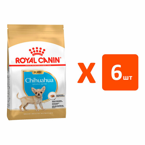  ROYAL CANIN CHIHUAHUA PUPPY    (1,5   6 )   -     , -  