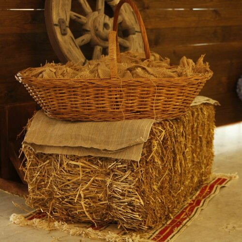 ���� ���� � ���� ���� ���� 18 �� ������ ������, ������ ������