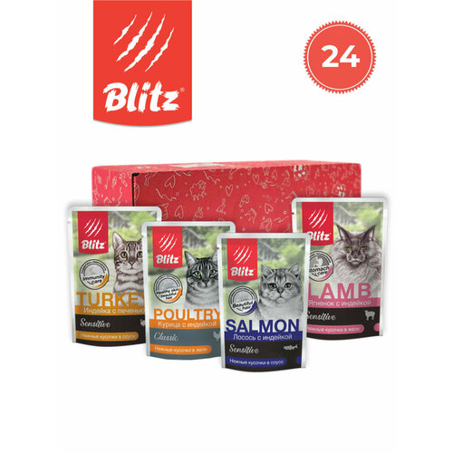      Blitz Sensitive , 4  85  24   -     , -  