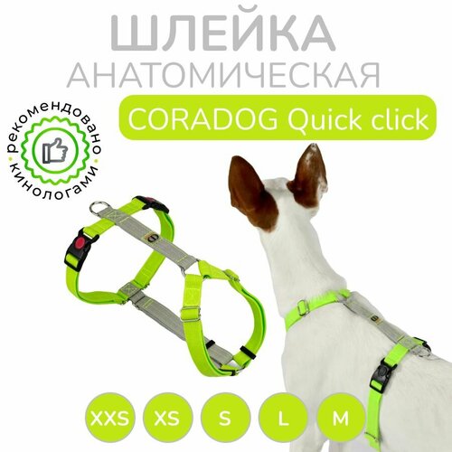          , CORADOG Quick click,  XXS,  ,    -     , -  