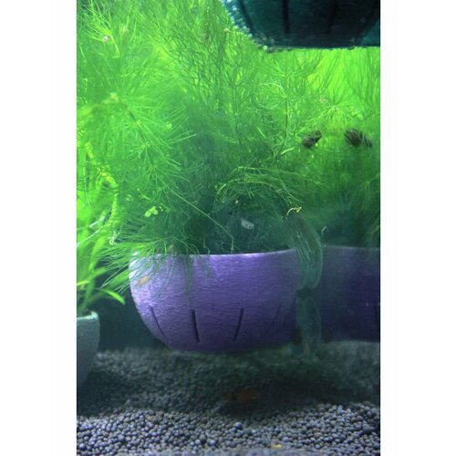 ���� ������ ��� ����������� �������� � ��������� � ������� 