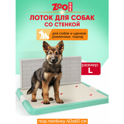 ���� ������ ��� ����� ZooOne �� ������� ������� 67�52�7 �� 1 ��. 1 ��. 67 �� 52 �� 7 �� �������, ������ ������