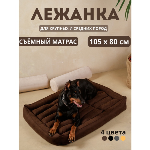 ���� ������� ��� ������� � ������� ����� ����� ����������105*80 ��, ������ ������