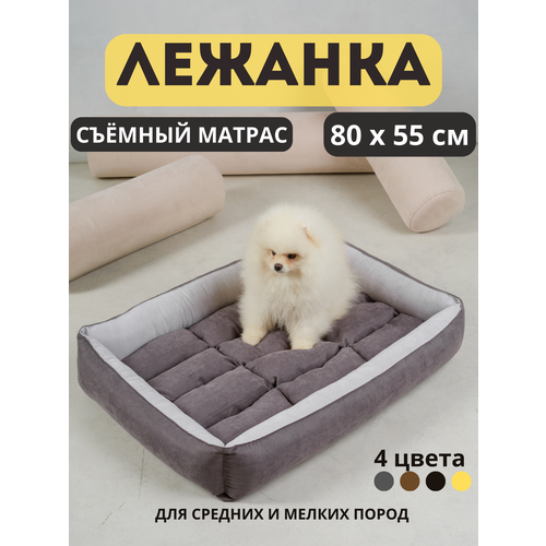 ���� ����� ��� ����� ������� � ������ ����� ����� ��� ������� ����� �� ������� �������� 80 ��, ������ ������