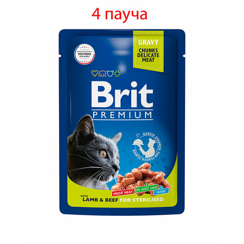   Brit Premium         85, 4   -     , -  