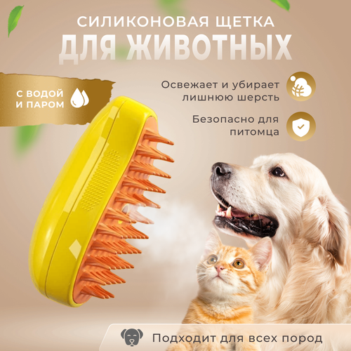 ���� ������� ����� ��� ����� � ����� , �������� � ����� ��� ��������, ������ ������