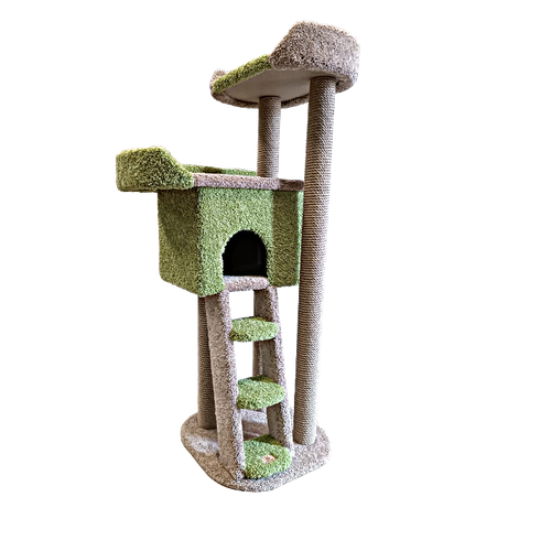 ���� ������� �������� ��� ����� ��� ���� 