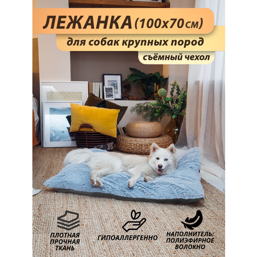 ���� ������ 100x70 ��, ����: ����� ������, �����, ������� ��� ����� ������� � ������� �����, �� ������� ������, ������ ������