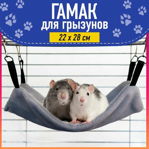 ���� ����� ��� �������� / ���� / ������ 22�28 ������-�����, ������ ������