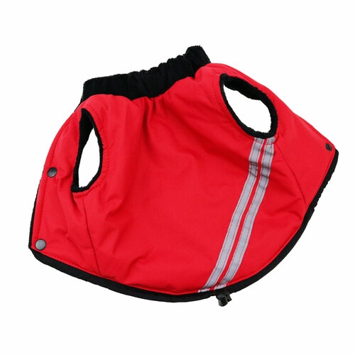 ���� ���������� �� ���� ��� ����� ������ �����, ������ ������