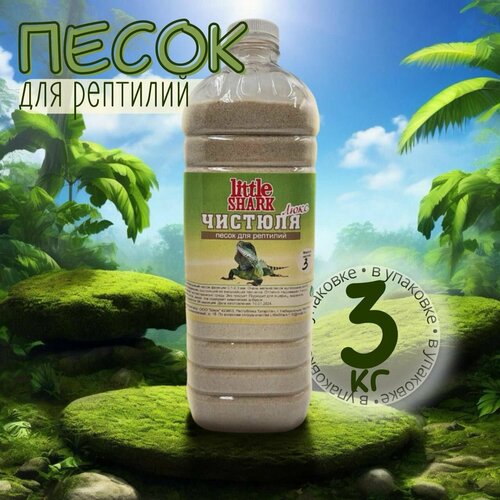 ���� ��������� ����� ��� ��������, ���������� 3�� / Little Shark, ������ ������