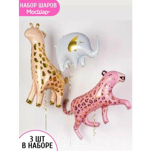 ���� ����� �������������� ����� �������� ������, ������ ������