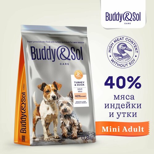       Buddy&Sol 800   -       -     , -  